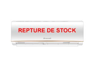 Climatiseur INVERTER BTS12TIQC